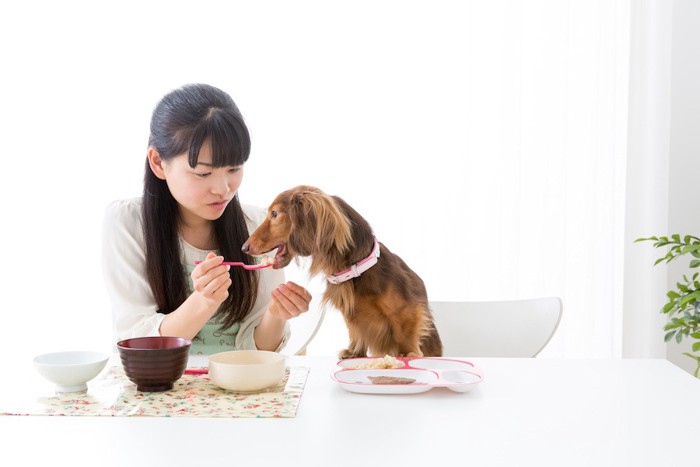 テーブルで人と食事をする犬