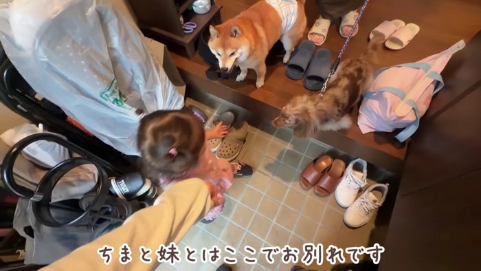 別れを告げて自宅へ