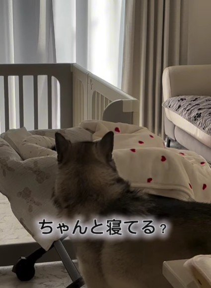 甲斐甲斐しい姿にホッコリ