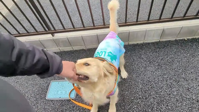 お散歩でもパワフル！！