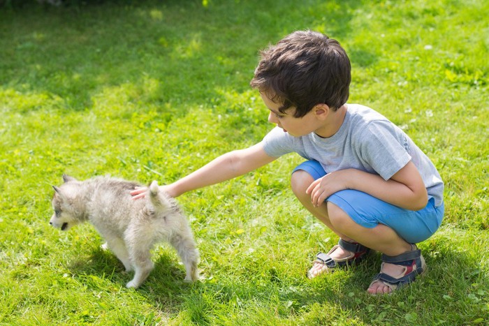 犬を後ろから触っているこども