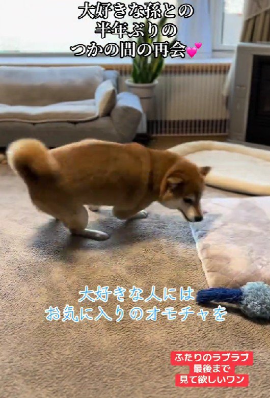 全身で喜びを表現