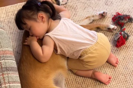 犬を寝かしつけたら…