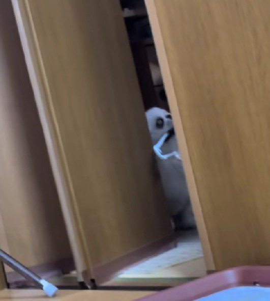 助走をつけることに