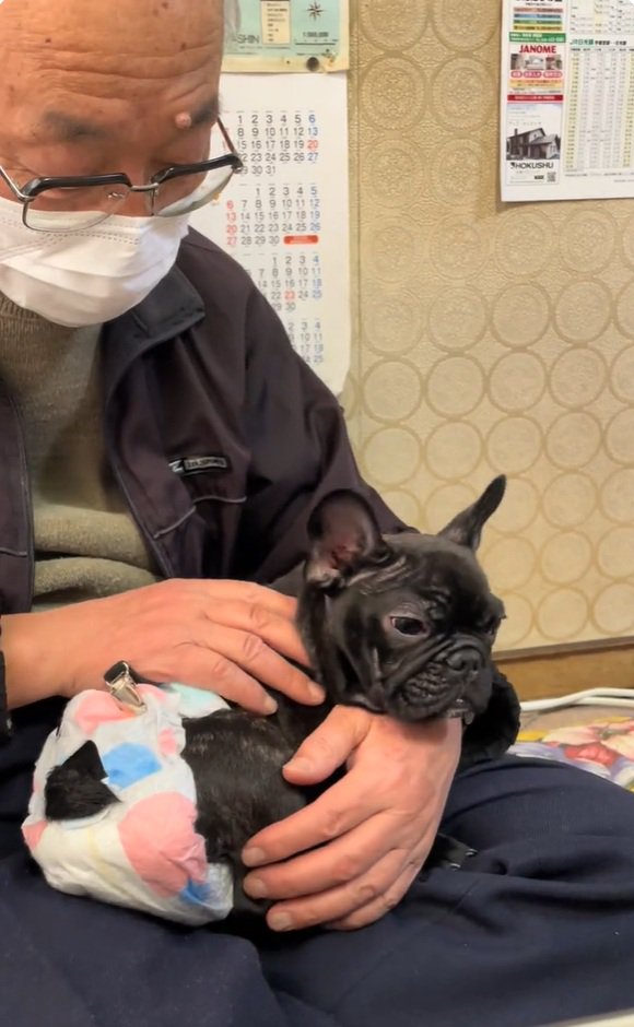 ぶーちゃんを抱きなおすおじいちゃん