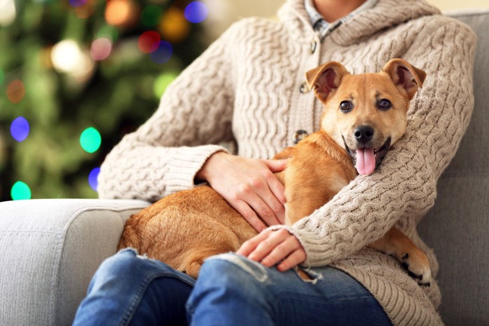 女性の膝の上で笑顔の犬