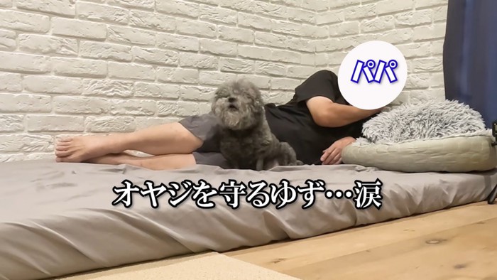 健気な姿に感動！