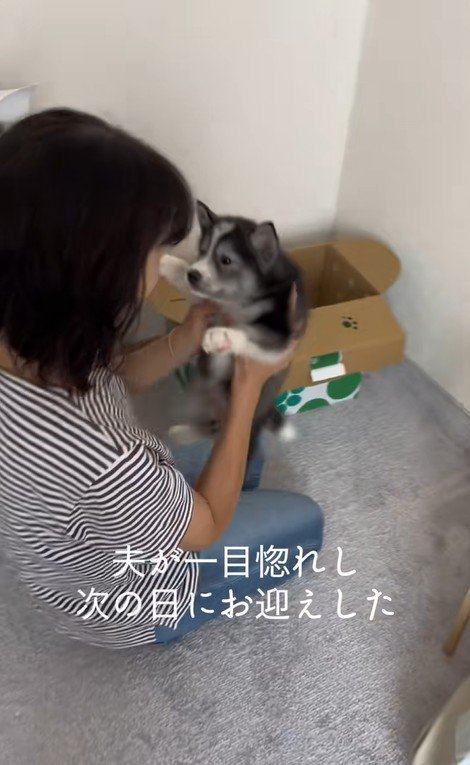 はまちちゃんの成長記録2