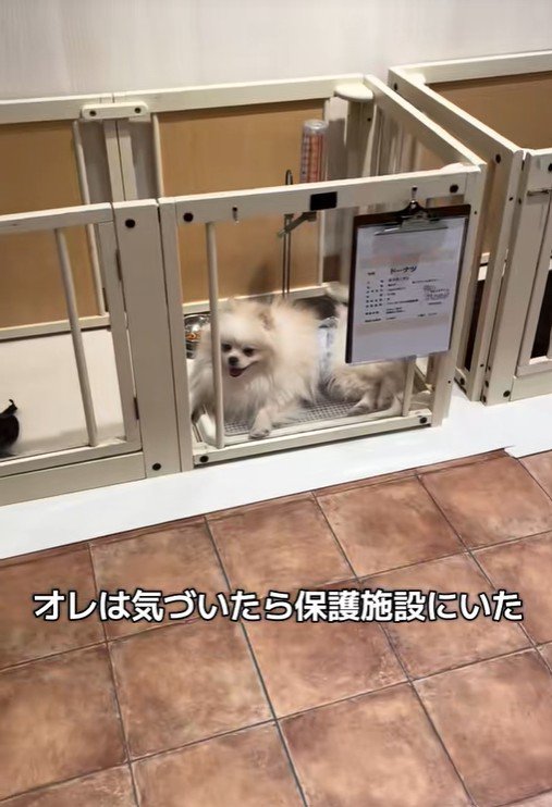 木ノ葉丸くんとの出会い