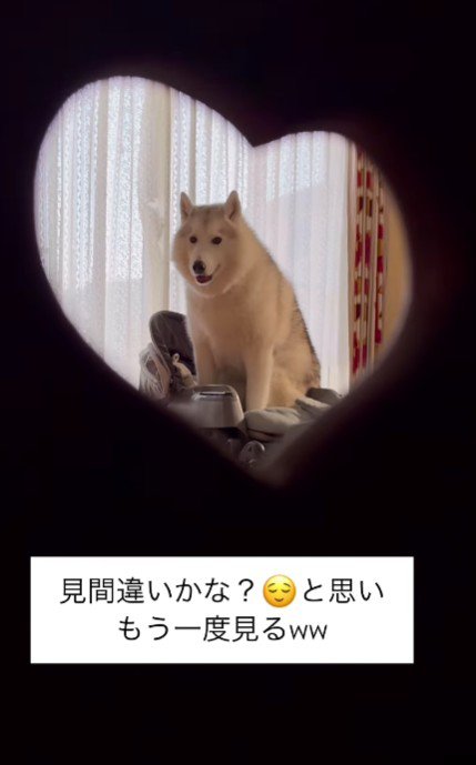 ベビーベッドに乗っている！！