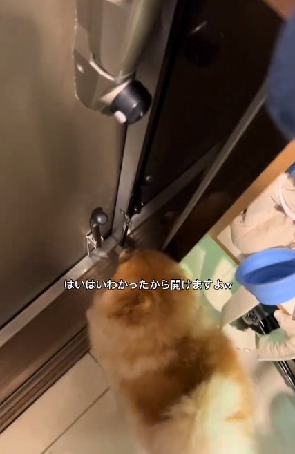 扉を開けてほしいちょっちゃん