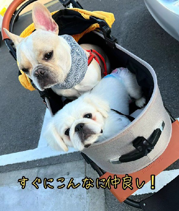 どこでも一緒♪
