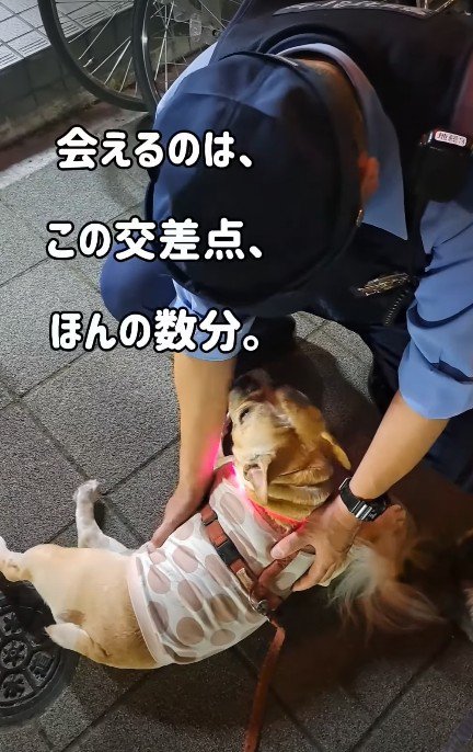 交番の警察官♡