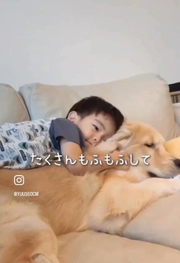 エルくんの上に乗るていちゃん