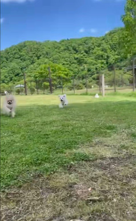 お友達に嫉妬されたむぎ君