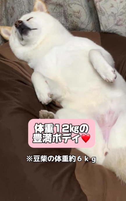 豊満ボディに変貌