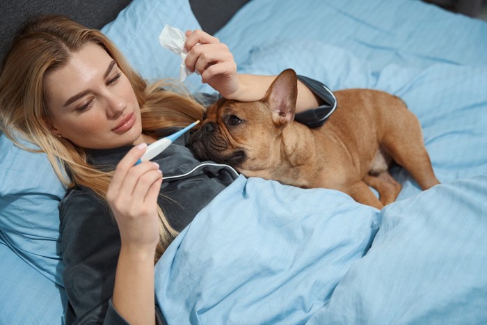 犬と一緒に体温計を確認する女性