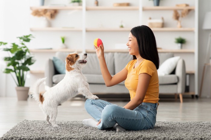 向かい合う犬とボールを手に持つ女性