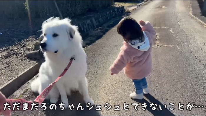 手を伸ばす女の子から顔を背ける犬