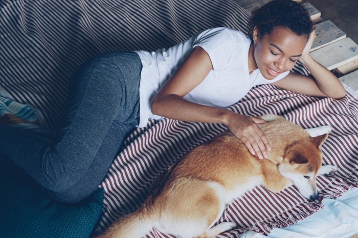 女性とベッドで横になる柴犬