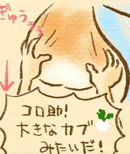 脱出を手伝うことに