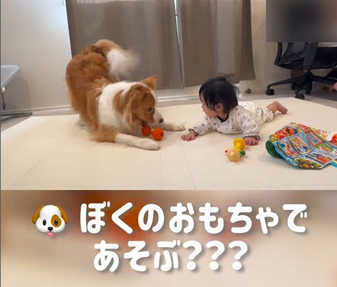 赤ちゃんを遊びに誘うまめ君