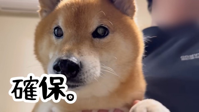 捕まった