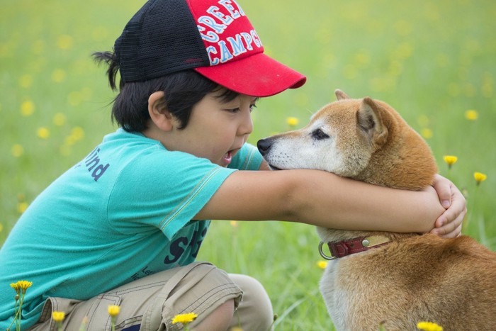 抱かれる柴犬