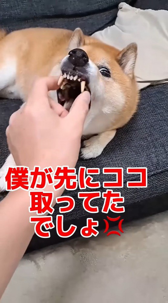 ついに逆ギレ！