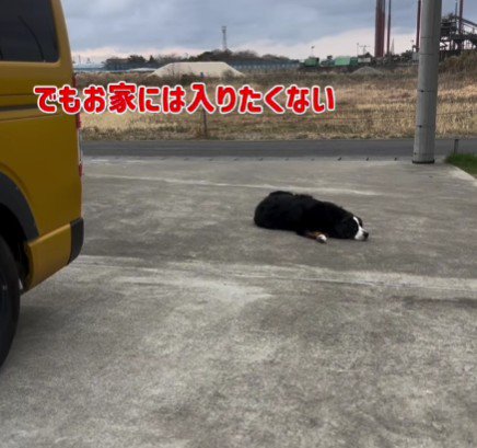 「もっと車に乗りたい!」