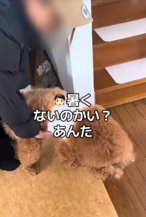 「暑くない？」と気遣ってくれました