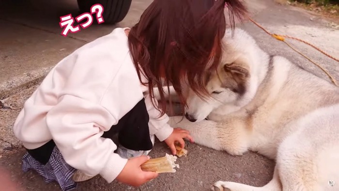 子どもが持つガムを見る犬