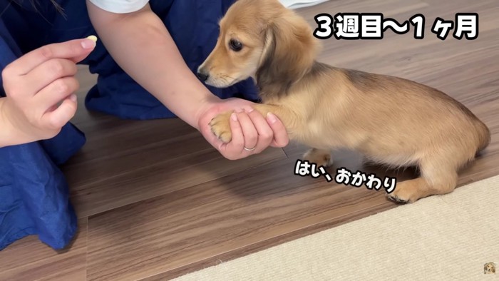 コマンドをみるみる習得♪
