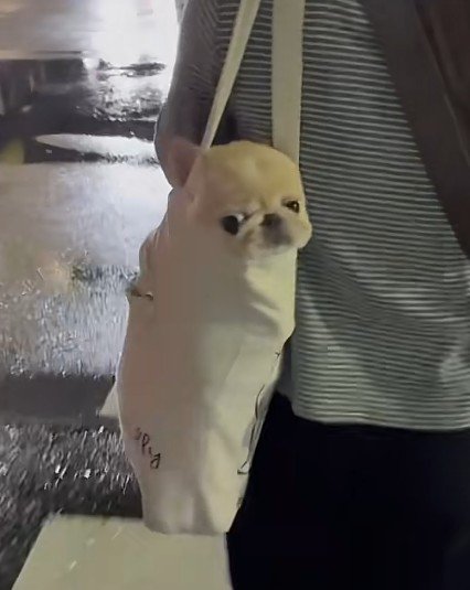思わず二度見してしまう!?
