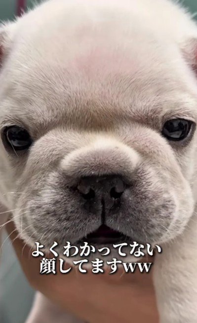 「何かされた？」