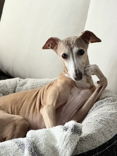 想像が膨らみます