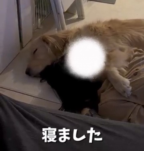 友人に寄り添いながら目を閉じる麹くん