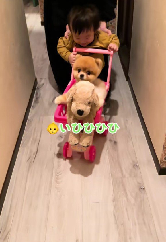 ちょっちゃんもお手伝い♪