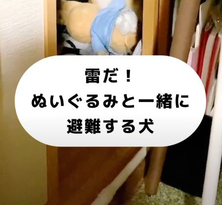 雷が鳴り始めると…