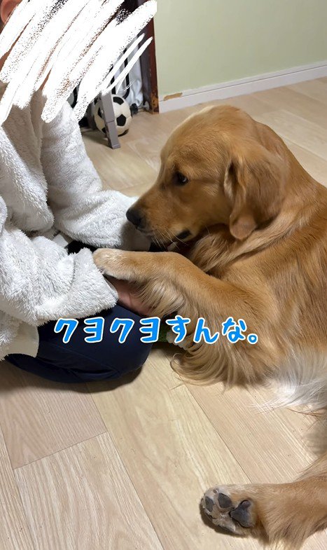 アルトくんと子どもたちの日常6