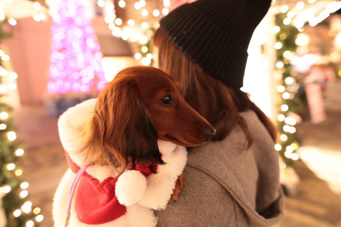 イルミネーションと女性に抱っこされている犬