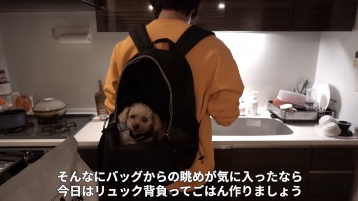 おんぶされるモコちゃん