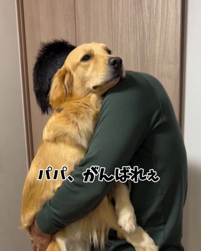 男性に抱っこされて、静かに遠くを見つめる大型犬