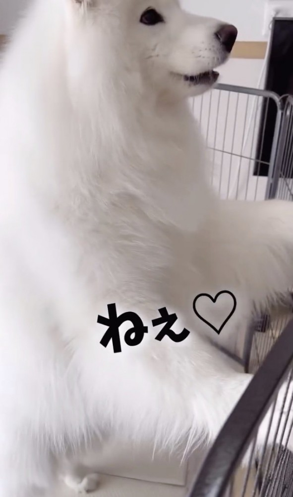 ねぇ