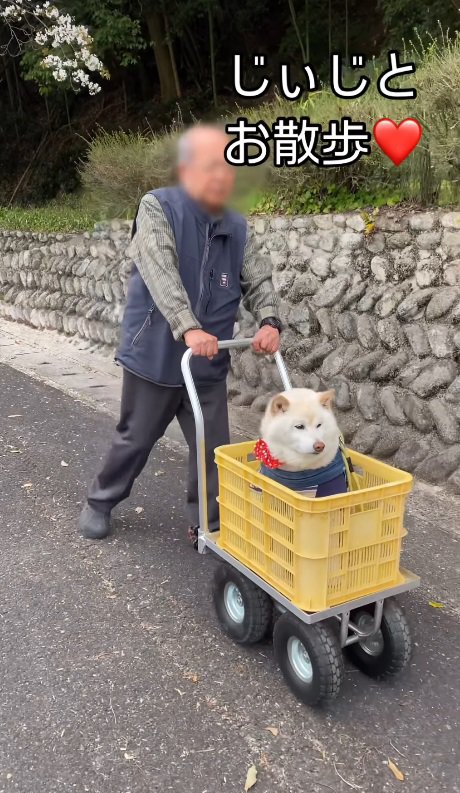 「乗り心地ばつぐん～♪」