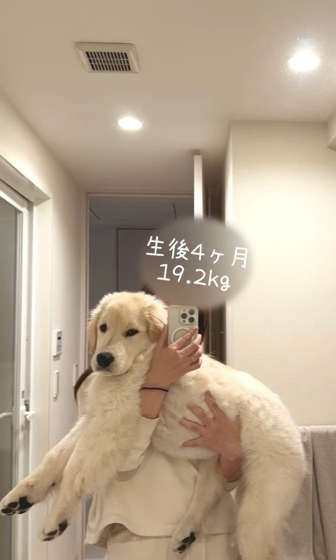 ぴの君の成長4