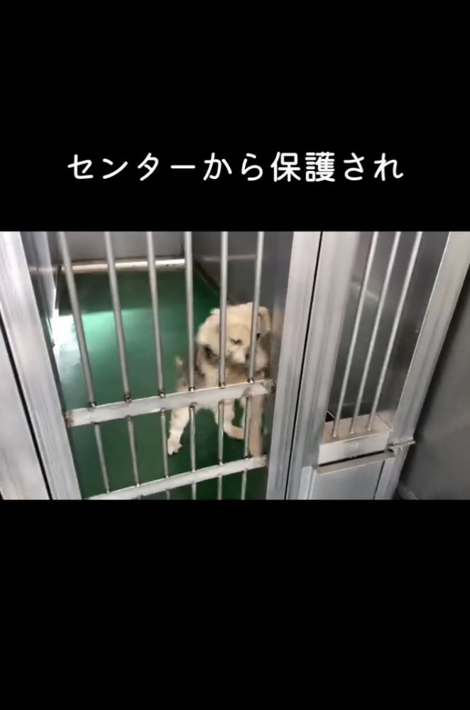 ここから出たい