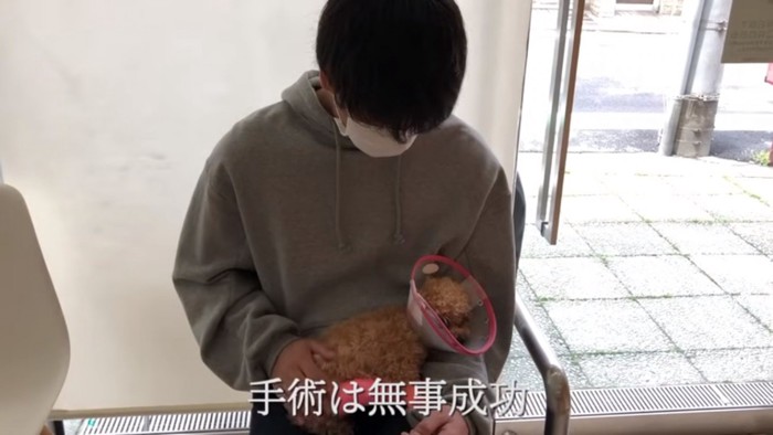 モコちゃんをなでる飼い主さん
