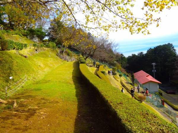 ドッグランからの風景