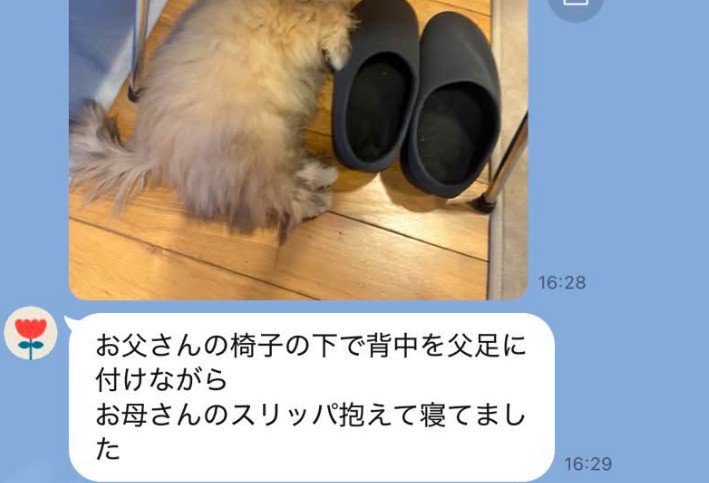 写されていたのは…